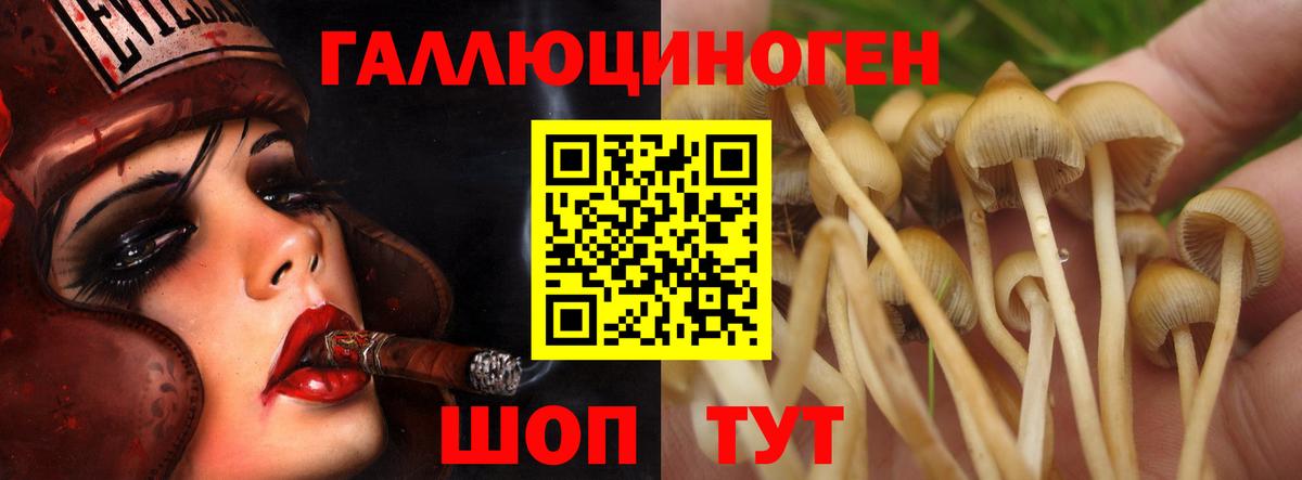 Ноябрьск  Галлюциногенные грибы ЛСД  Вход с VPN 